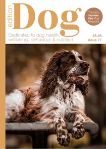 Edition Dog 77 
                issue Edition Dog 77