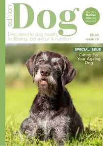 Edition Dog 
                issue Edition Dog 79