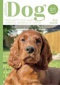 Edition Dog 80 
                issue Edition Dog 80