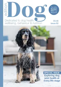 Edition Dog 82 
                issue Edition Dog 82