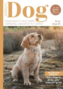 Edition Dog 83 
                issue Edition Dog 83