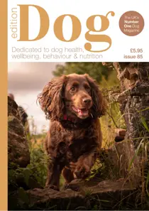 Edition Dog 
                issue Edition Dog 85