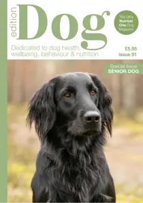 Edition Dog 
                issue Edition Dog 91