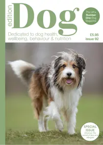 Edition Dog 
                issue Edition Dog 92