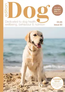 Edition Dog 
                issue Edition Dog 93