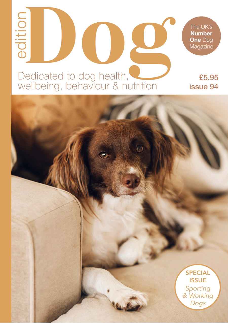 Edition Dog issue Edition Dog 94