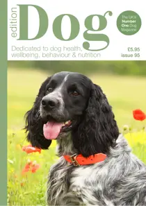 Edition Dog 
                issue Edition Dog 95