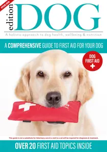Edition Dog Edition Dog First Aid Book 2022