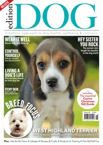 Edition Dog Issue 49 
                issue Edition Dog Issue 49