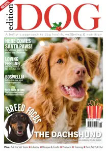Edition Dog Issue 50 
                issue Edition Dog Issue 50