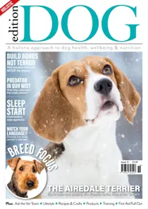 Edition Dog Issue 51 
                issue Edition Dog Issue 51