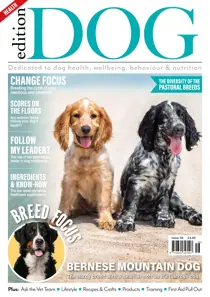 Edition Dog Issue 56 
                issue Edition Dog Issue 56