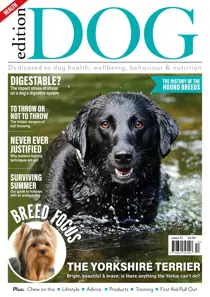 Edition Dog Issue 57 
                issue Edition Dog Issue 57
