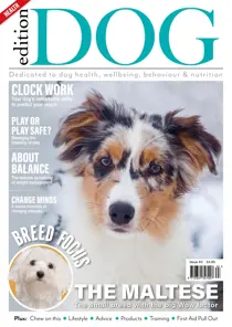 Edition Dog Edition Dog Issue 63