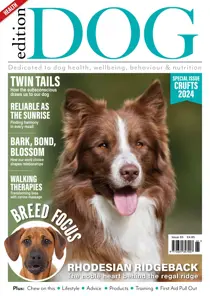 Edition Dog Edition Dog Issue 65