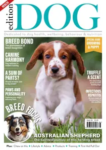 Edition Dog Edition Dog Issue 66