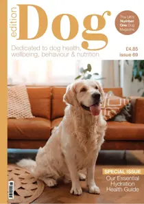 Edition Dog Edition Dog Issue 69