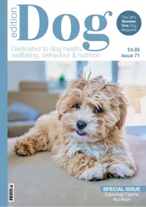 Edition Dog Edition Dog Issue 71