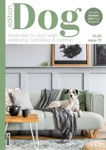 Edition Dog issue Edition Dog Issue 72
