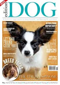 Issue 11 
                issue Issue 11