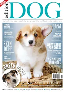 Issue 15 
                issue Issue 15