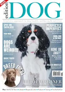 Issue 16 
                issue Issue 16