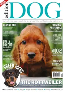 Issue 30 
                issue Issue 30