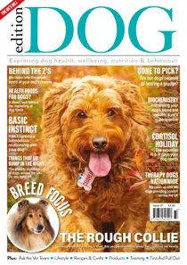 Issue 37 
                issue Issue 37