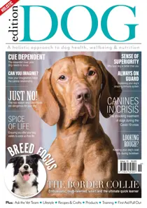 Issue 19 
                issue Issue 19