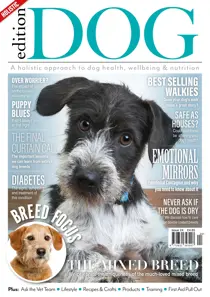 Issue 23 
                issue Issue 23