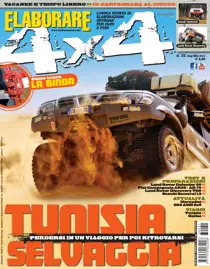 Numero 31 
                issue Numero 31