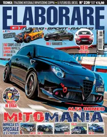 Elaborare 239 
                issue Elaborare 239