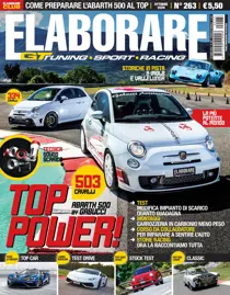 Elaborare 263 
                issue Elaborare 263