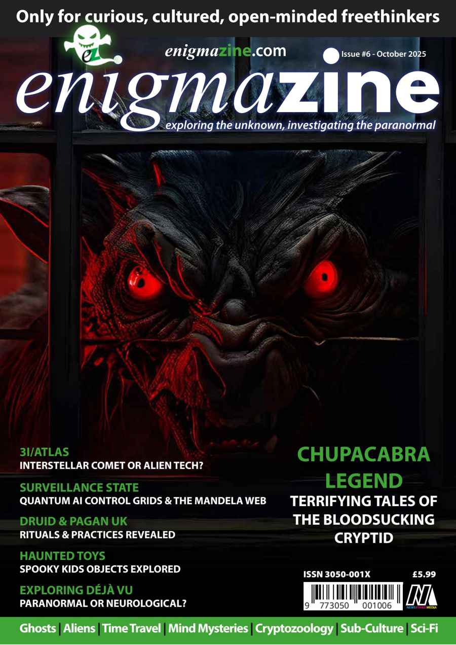 Enigmazine issue Issue #6