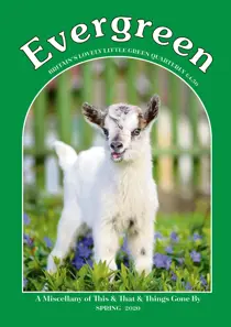 Spring 2020 
                issue Spring 2020