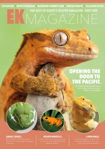 Exotics Keeper Best of EK: Part 1