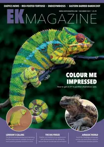 December 2021 
                issue December 2021