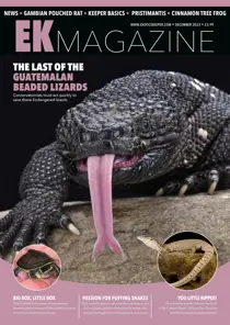 Exotics Keeper December 2023