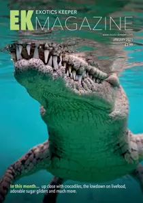 January 2021 
                issue January 2021