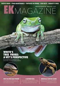 Exotics Keeper March 2023 
                issue Exotics Keeper March 2023