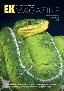 February 2021 
                issue February 2021