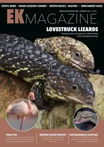 February 2022 
                issue February 2022