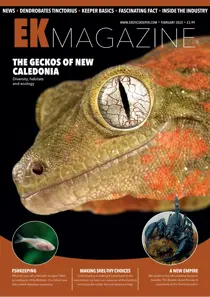 February 2025 
                issue February 2025