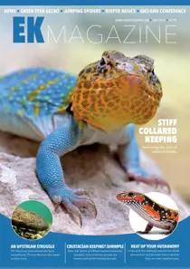 Exotics Keeper July 2024