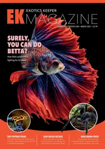 March 2021 
                issue March 2021