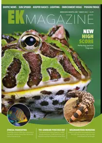 March 2022 
                issue March 2022