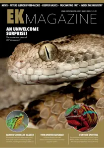 March 2025 
                issue March 2025