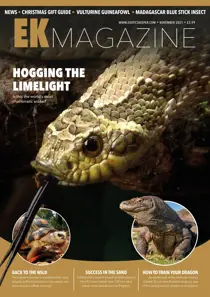 November 2021 
                issue November 2021