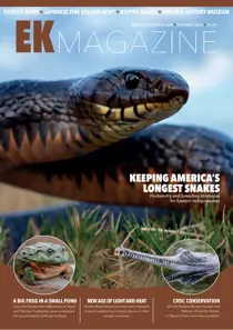 November 2024 
                issue November 2024