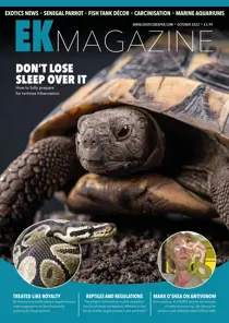 October 2022 
                issue October 2022